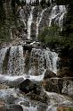 0098 Tangle Falls